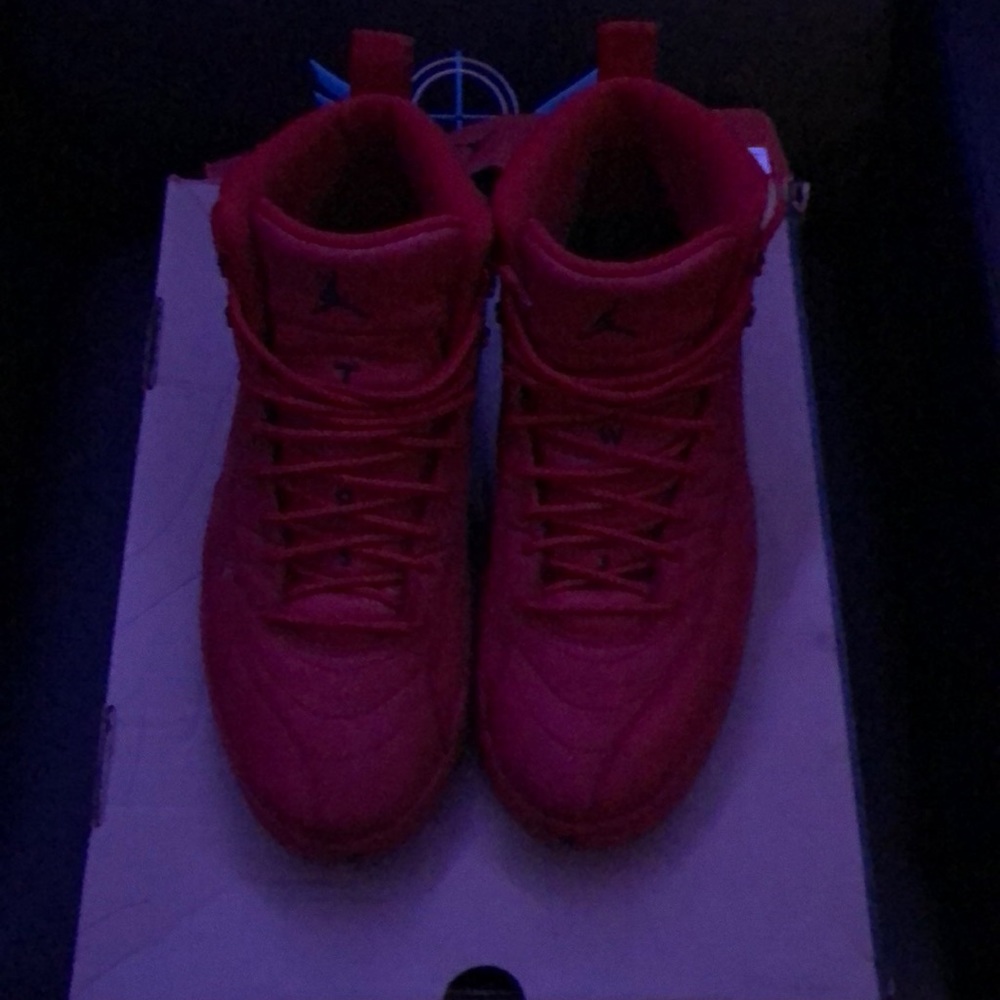 Nike Jordan 12 Red